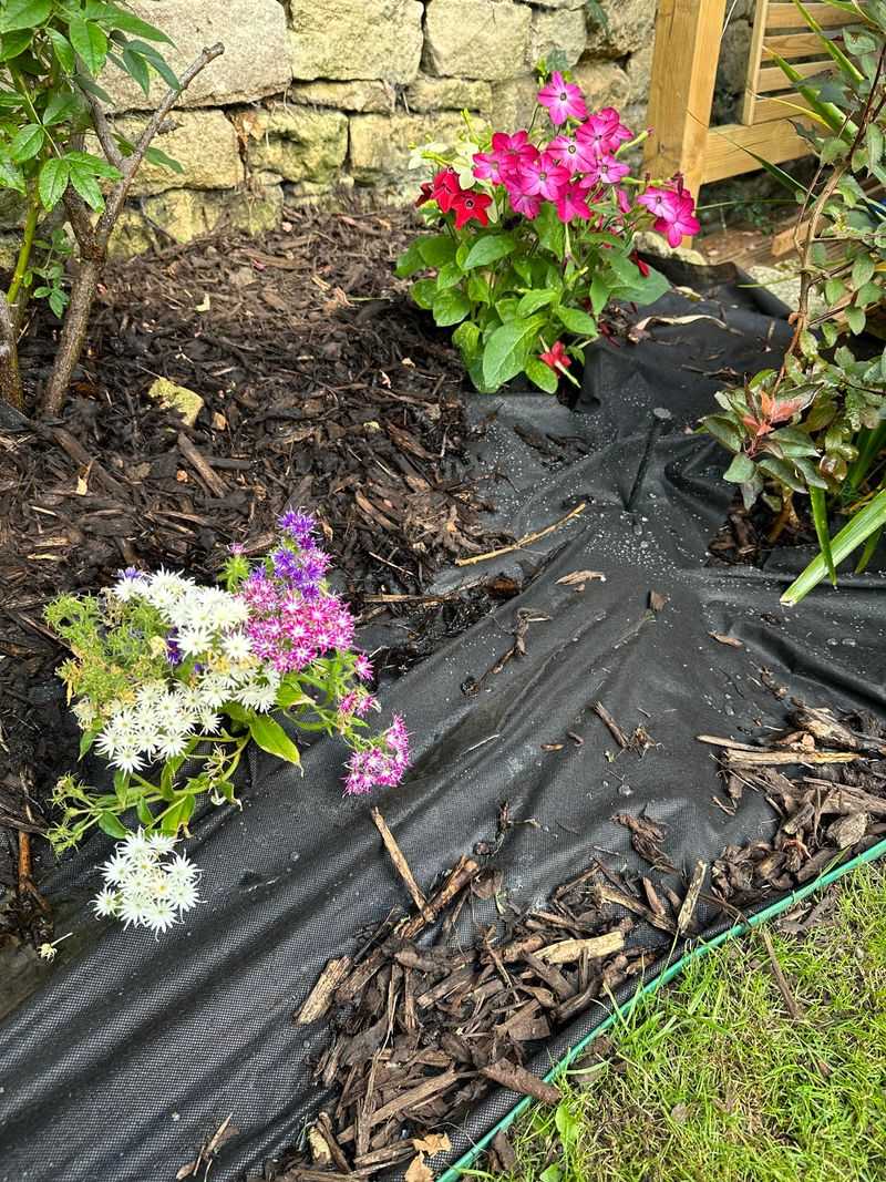 Plastic Weed Barrier