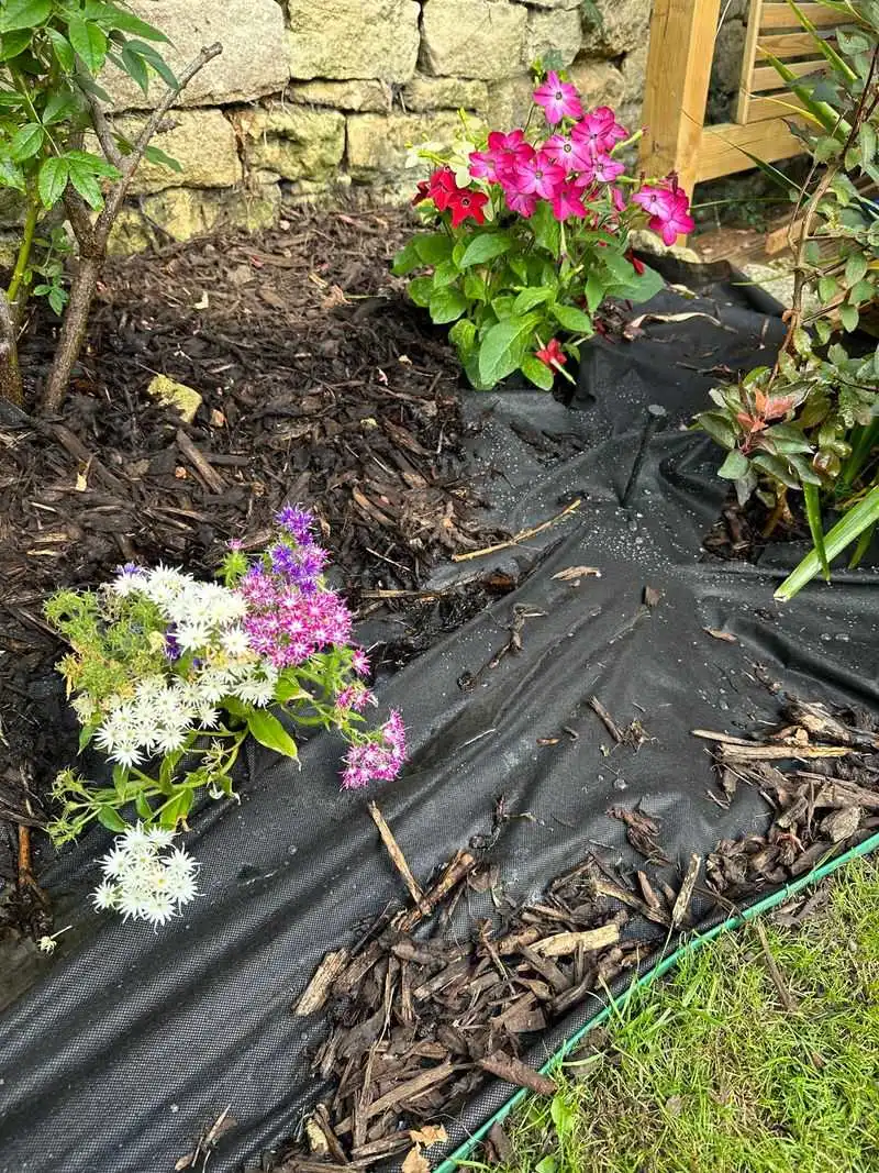 Plastic Weed Barrier