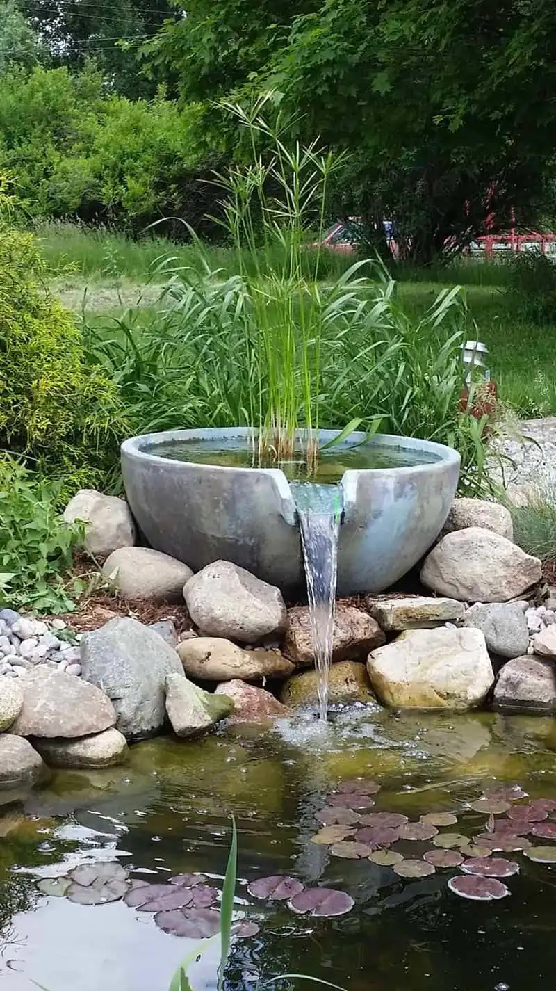 Tranquil Water Feature