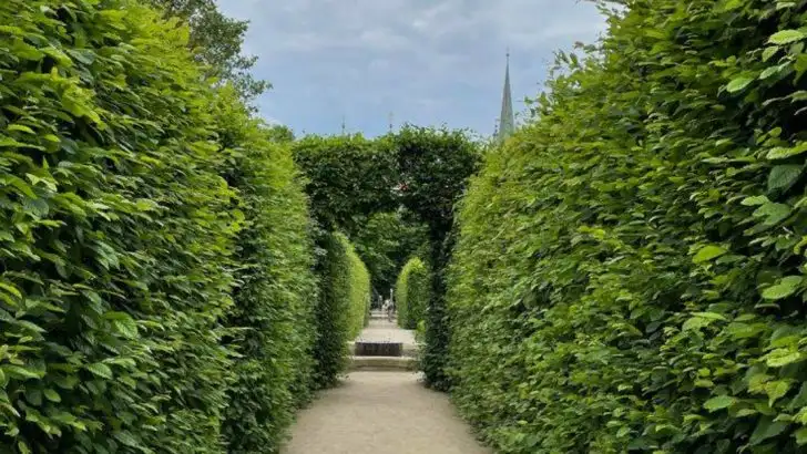 15 Garden Styles People Should Stop Following in 2025 (And What to Plant Instead)