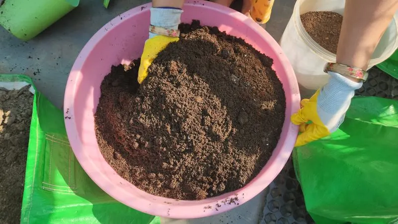 Selecting the Right Soil