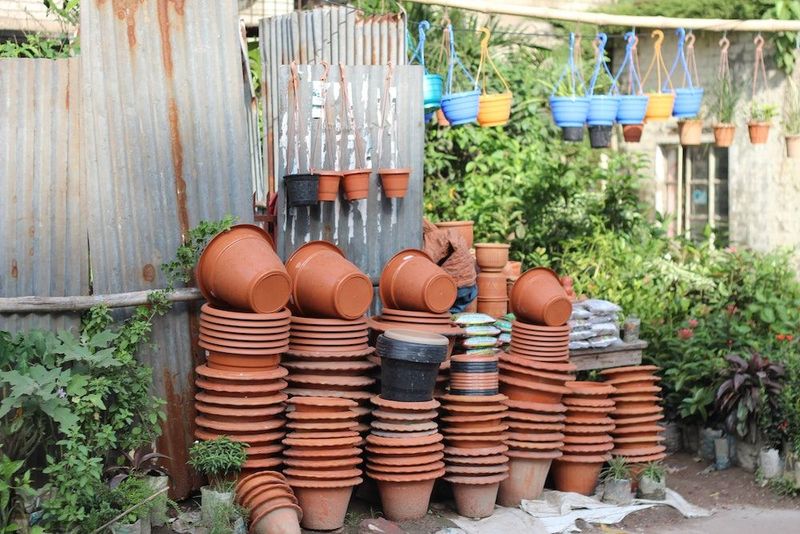 Choosing the Right Container