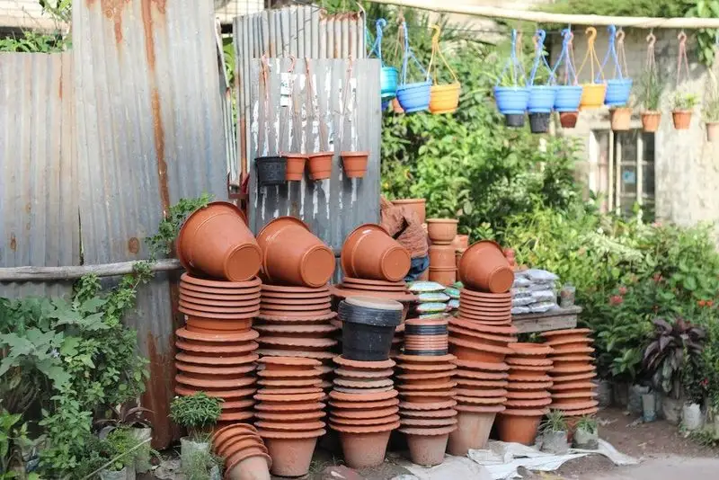 Choosing the Right Container