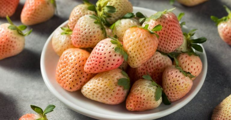 15 Tips for Growing Pineberries – The Strawberries That Taste Like Summer