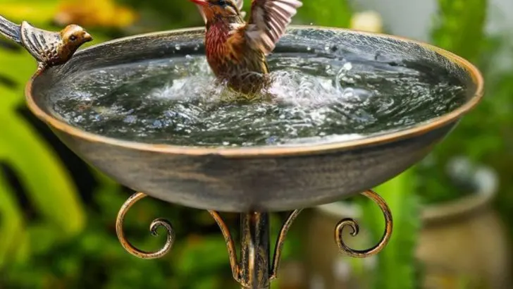 15 Old Garden Features That America Completely Forgot