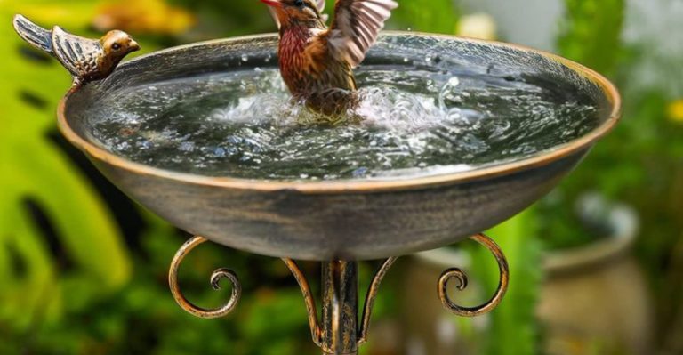 15 Old Garden Features That America Completely Forgot
