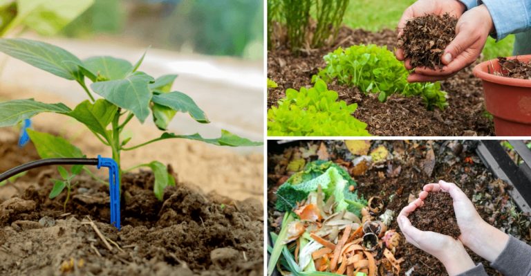 15 Ways to Rescue a Wilting Garden (What to Do When Everything Looks Hopeless)