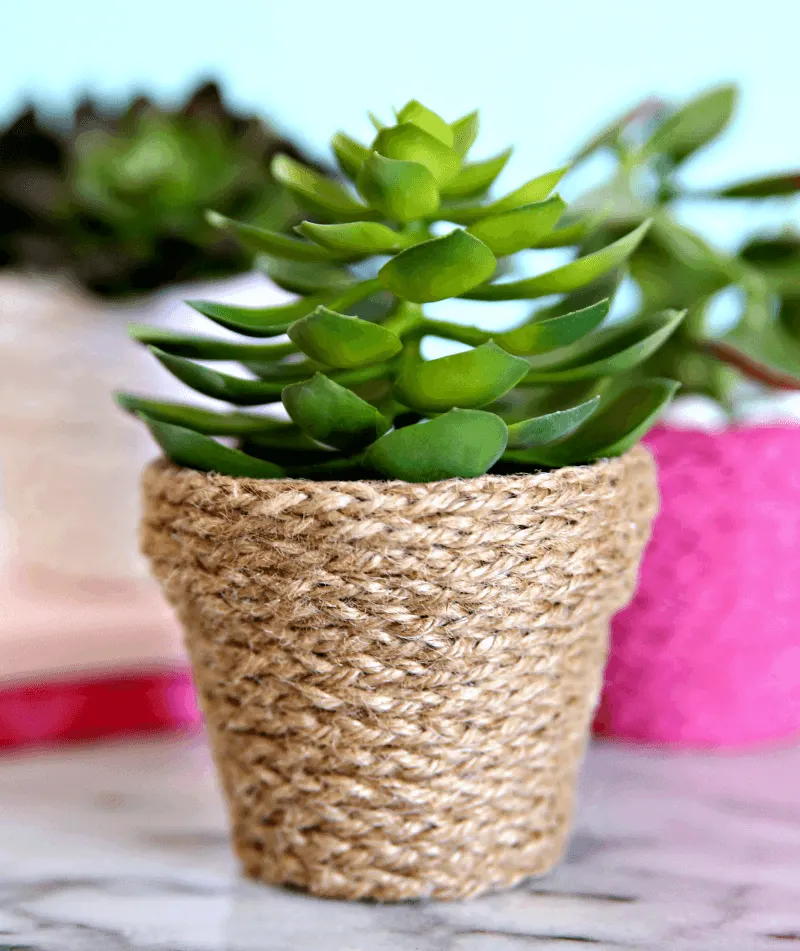 Rope-Wrapped Planters