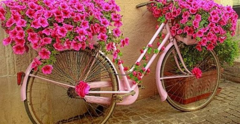 16 Creative Bicycle Planters That Will Make Your Garden Stand Out