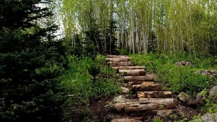 16 Garden Makeovers That Helped Women Recover After Divorce