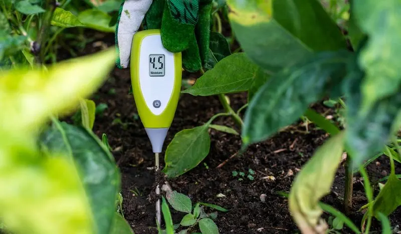Ignoring Soil pH Levels