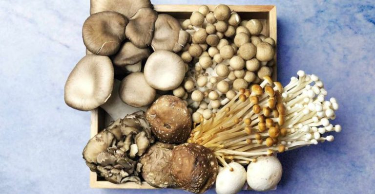 16 Veggies With Almost No Calories and a Lot of Nutrients