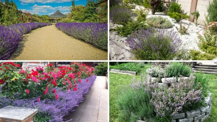 16 Lavender Landscaping Ideas You’re About to See Everywhere This Year