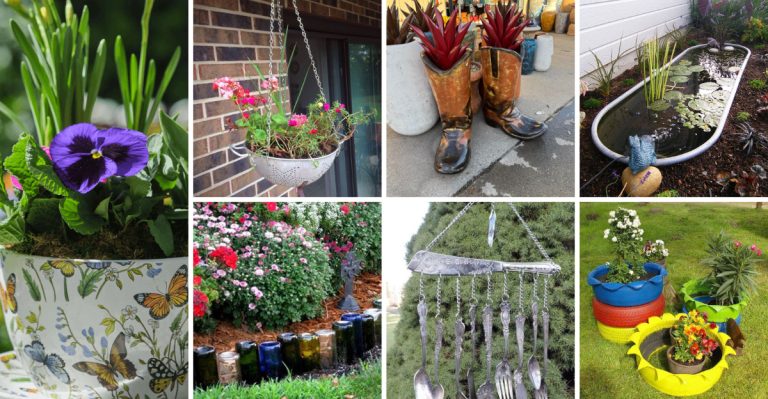 16 Strange Ways People Use Household Stuff in Their Gardens