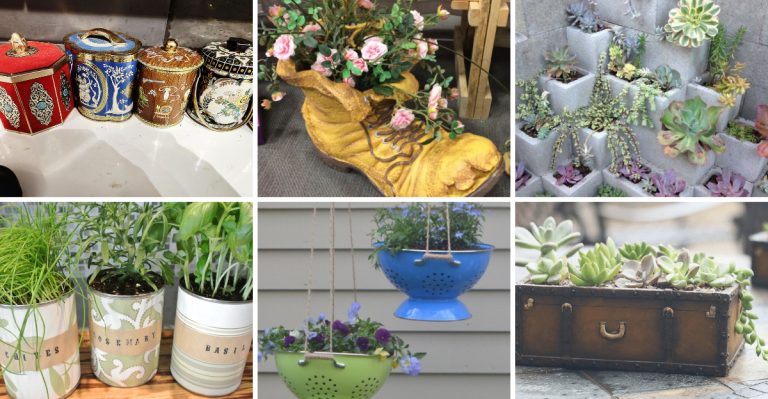 16 Unusual Container Combinations for Maximum Color (Inspired by Pro Garden Designers)