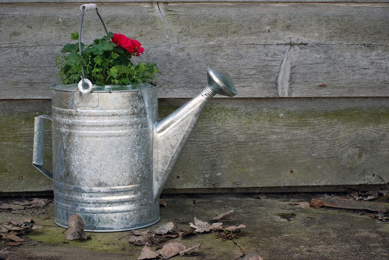 Vintage Watering Can Planters