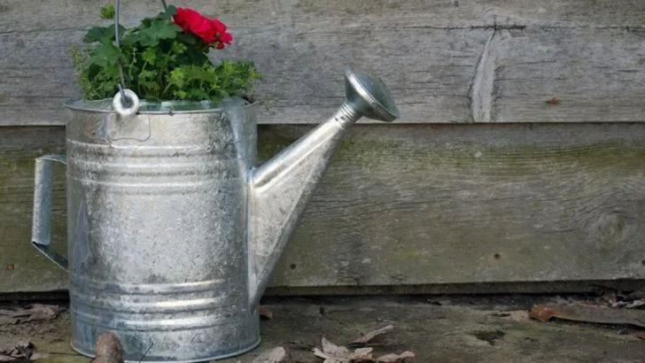 17 Country Garden Decor Ideas That Make Your Yard Feel Like Home