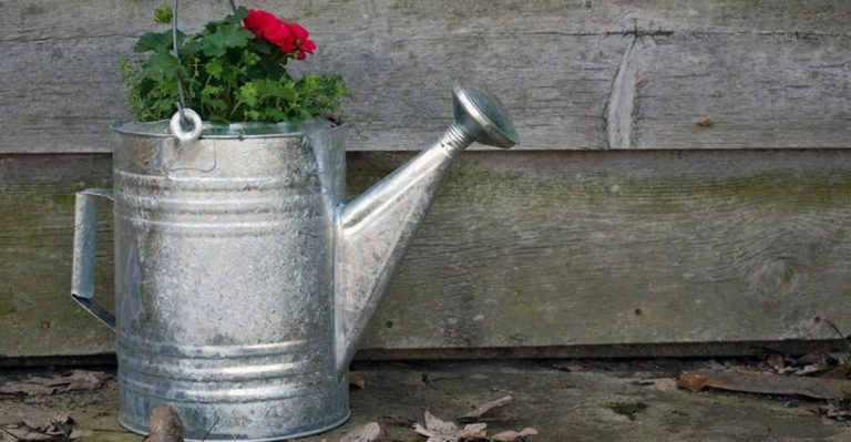 17 Country Garden Decor Ideas That Make Your Yard Feel Like Home