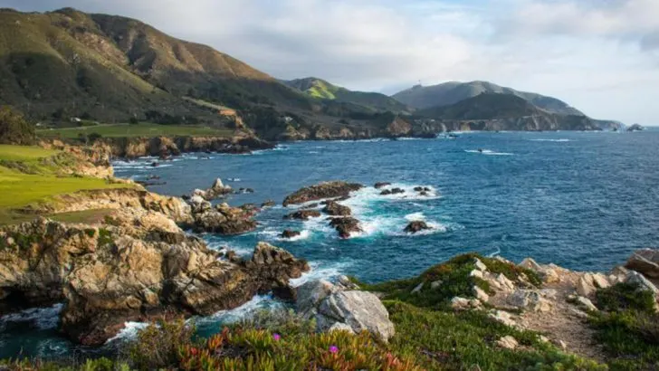 17 Native Wildflower Meadows That Say “I’ve Stopped Trying to Control Everything”