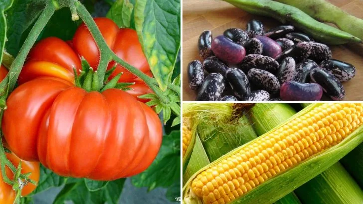 17 Heritage Plants Your Grandparents Grew (That Outperform Modern Varieties)