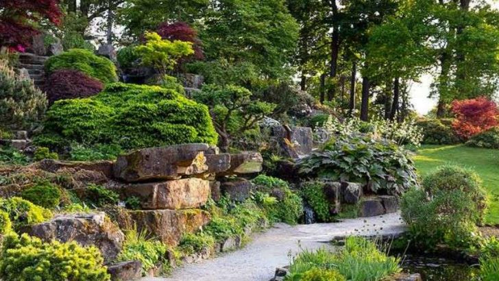 18 Garden Trends That Sound Great—Until You Try Them