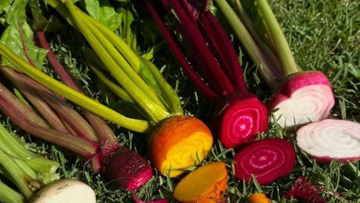 18 High-Iron Veggies You Can Grow in Your Backyard