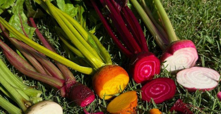 18 High-Iron Veggies You Can Grow in Your Backyard