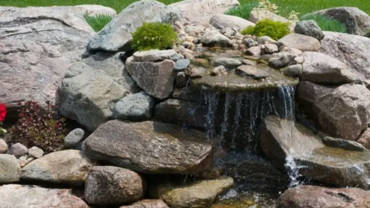 18 Vacation-Proof Your Garden in June (Before Summer Travel Season)