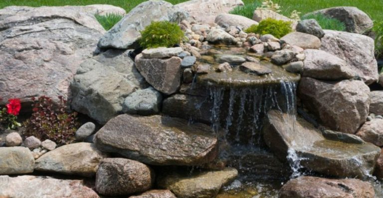 18 Vacation-Proof Your Garden in June (Before Summer Travel Season)