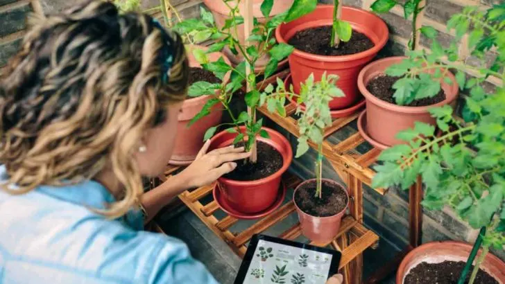 18 Garden ‘Mistakes’ That Actually Result in More Abundant Harvests Than Perfect Care