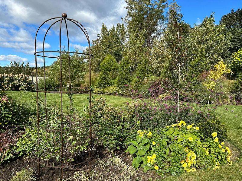 Sculptural Trellis