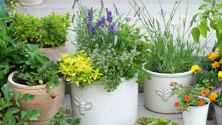 20 Container Gardening Mistakes That Nobody Talks About