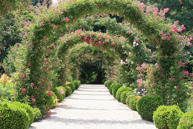 Victorian Rose Garden