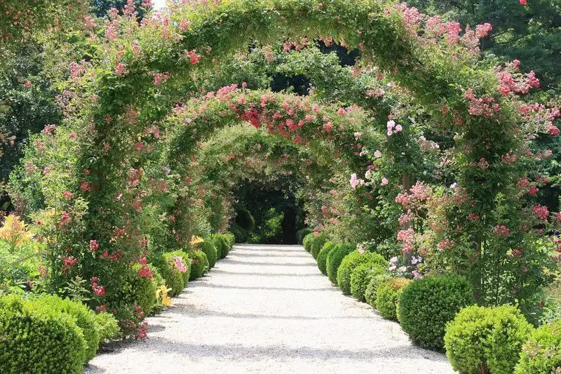 Victorian Rose Garden