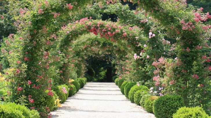 20 Garden Designs That Grandmothers Create to Pass Down Family Heritage