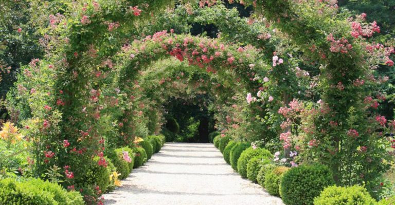 20 Garden Designs That Grandmothers Create to Pass Down Family Heritage