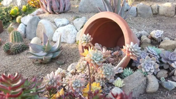 20 Low-Maintenance Gardens for Women Over 60 Who’d Rather Travel Than Weed