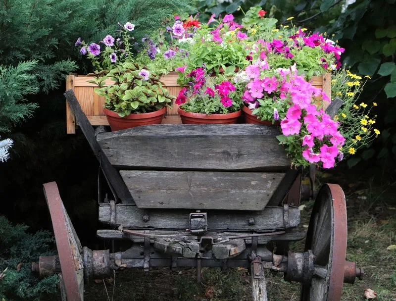 Antique Wheelbarrow Planter