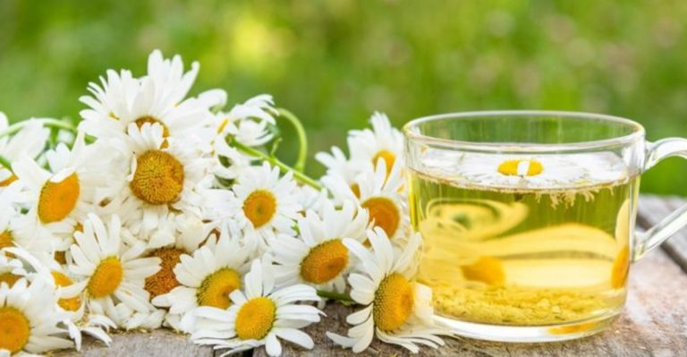 20 Stress-Relief Plants for the Sandwich Generation (Caring for Everyone But Yourself)