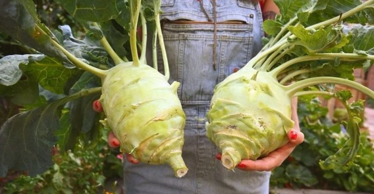 22 Plants That Benefit From May’s Cool Mornings and Warm Afternoons