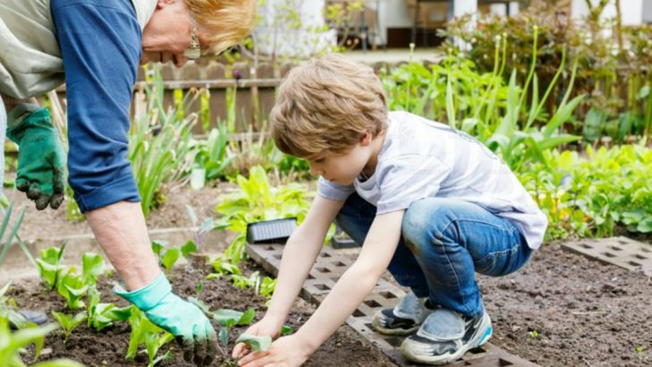 23 Garden Activities That Help Alzheimer’s Patients Stay Connected