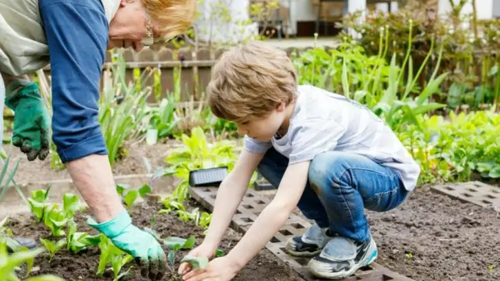 23 Garden Activities That Help Alzheimer’s Patients Stay Connected