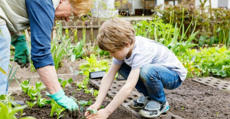 23 Garden Activities That Help Alzheimer’s Patients Stay Connected