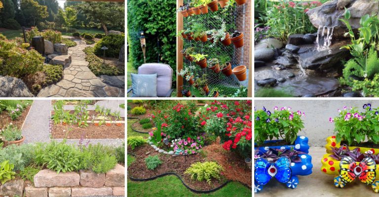 23 Designer Landscaping Tricks That Cost Less Than You Think
