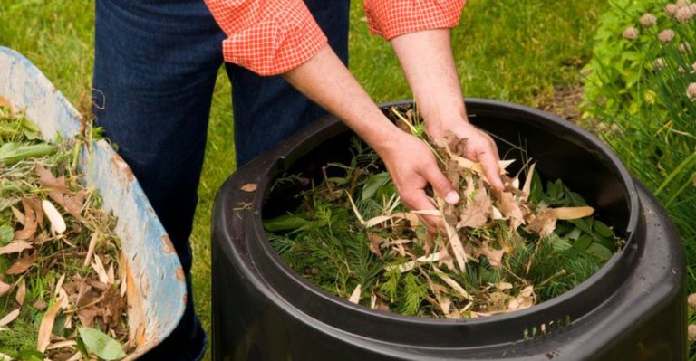 25 Amish Gardening Hacks You’ll Wish You Knew Sooner