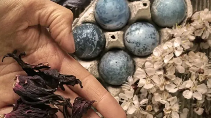 7 Natural Ways to Dye Eggs With Plants From Your Own Garden