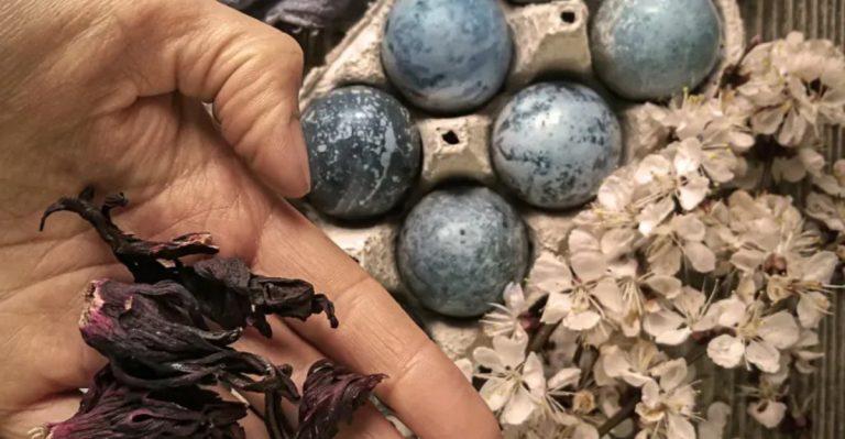 7 Natural Ways to Dye Eggs With Plants From Your Own Garden