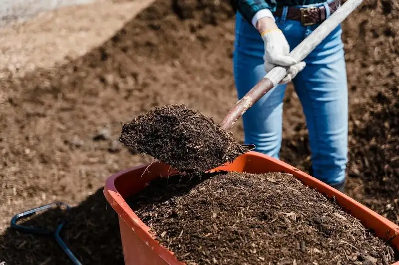 7. Mulching Techniques