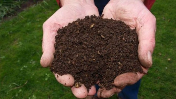 9 Soil Amendments That Are Wasting Your Money (And 9 That Actually Improve Growth)