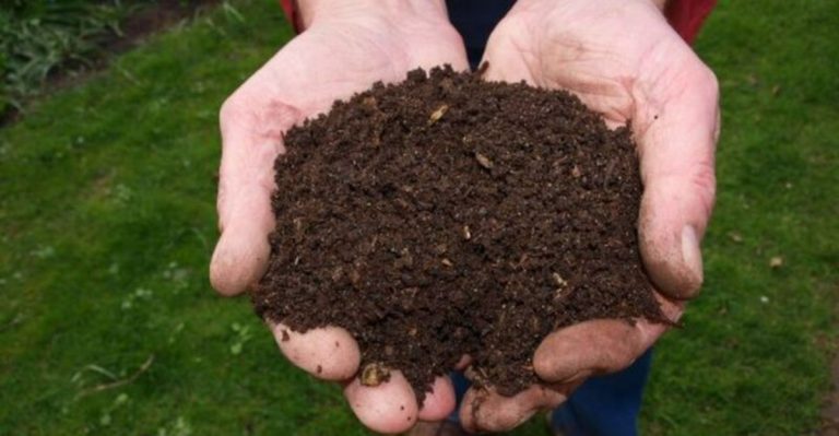 9 Soil Amendments That Are Wasting Your Money (And 9 That Actually Improve Growth)